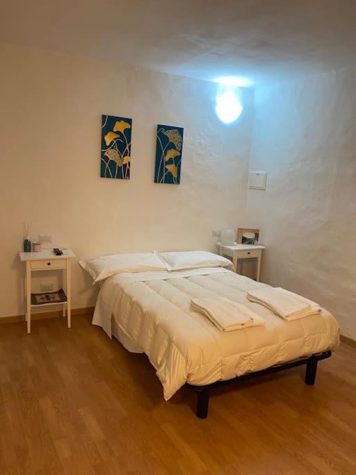 Gianfranco - City Center Apt فلورنس المظهر الخارجي الصورة