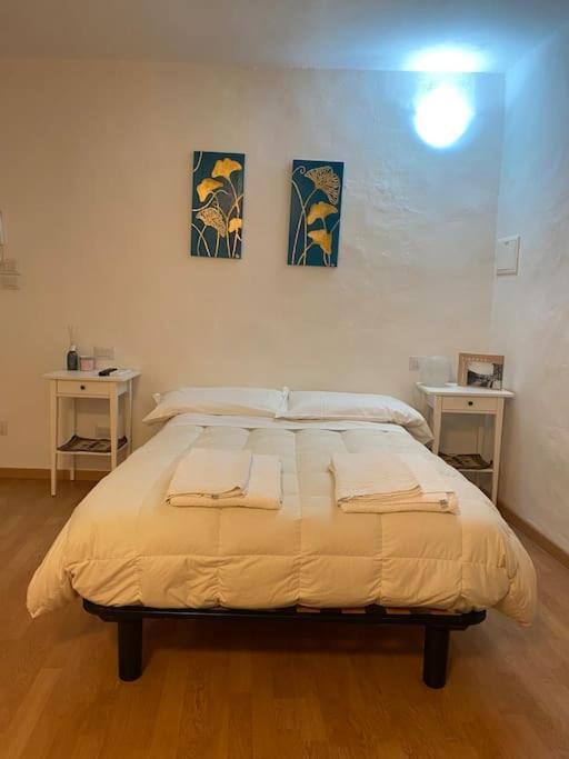 Gianfranco - City Center Apt فلورنس المظهر الخارجي الصورة