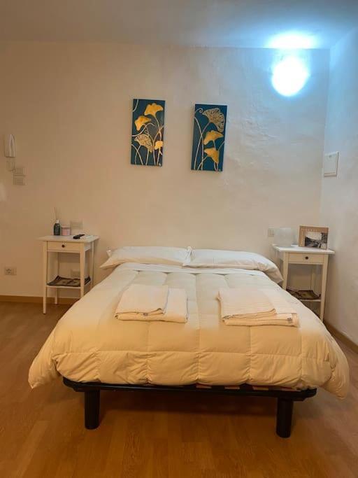 Gianfranco - City Center Apt فلورنس المظهر الخارجي الصورة