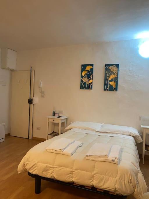 Gianfranco - City Center Apt فلورنس المظهر الخارجي الصورة